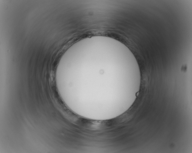 X0000111620130200907171114