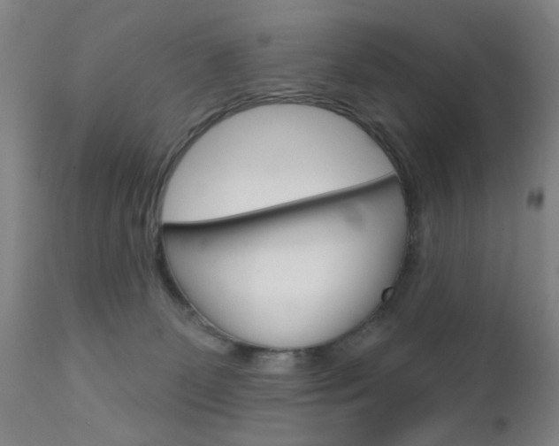 X0000111620131200907171114