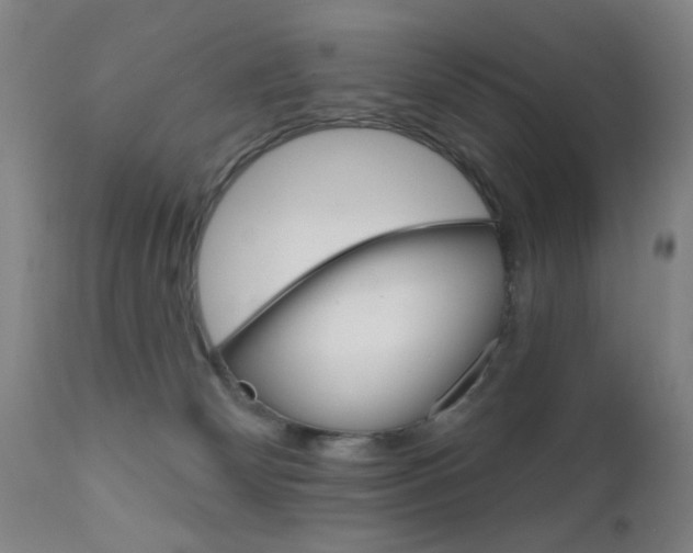 X0000111620132200907171114