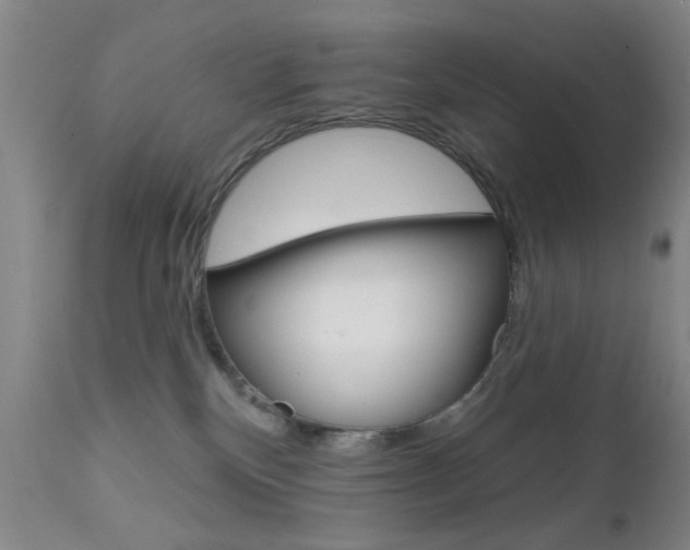 X0000111620136200907171114