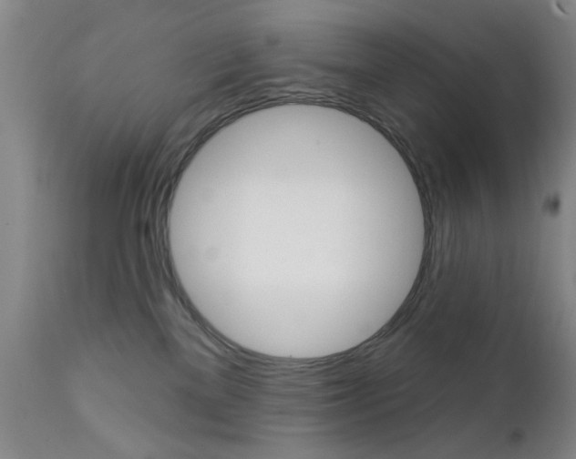 X0000111620137200907171114