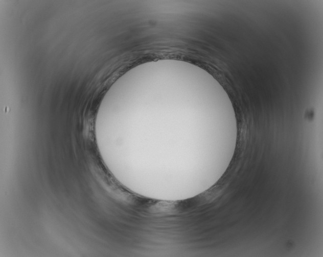 X0000111620138200907171114