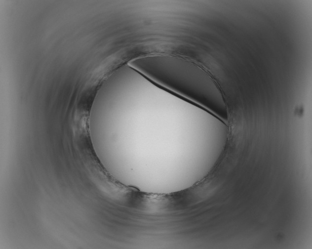X0000111620141200907171113