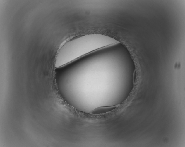 X0000111620144200907171113
