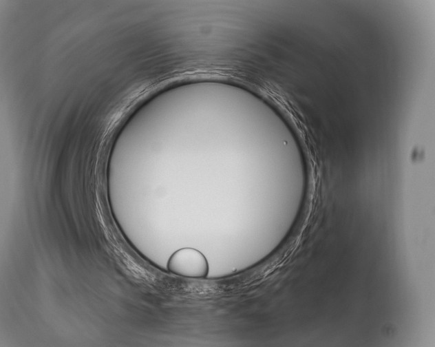 X0000111620145200907171113