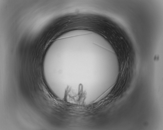 X0000111620146200907171113