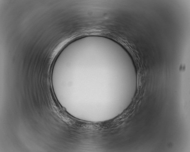 X0000111620147200907171113