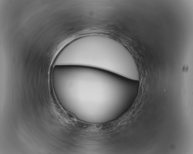 X0000111620148200907171113
