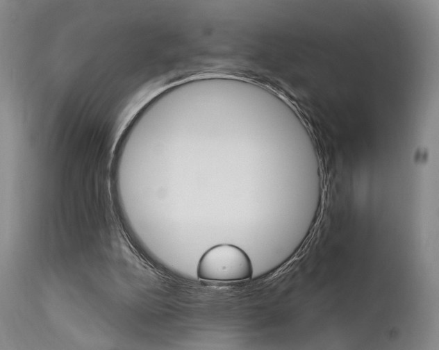 X0000111620152200907171113