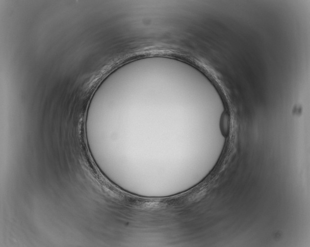 X0000111620153200907171113