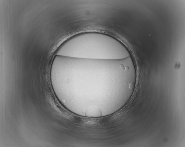 X0000111620155200907171113