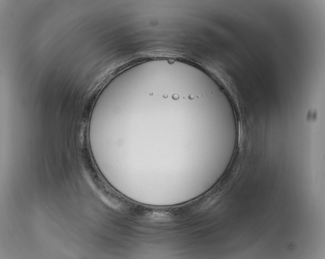 X0000111620157200907171113