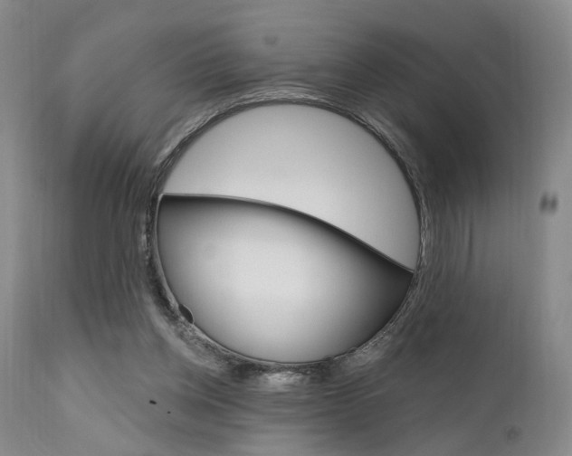 X0000111620158200907171113