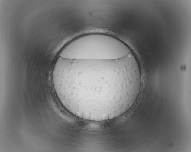 X0000111620159200907171113