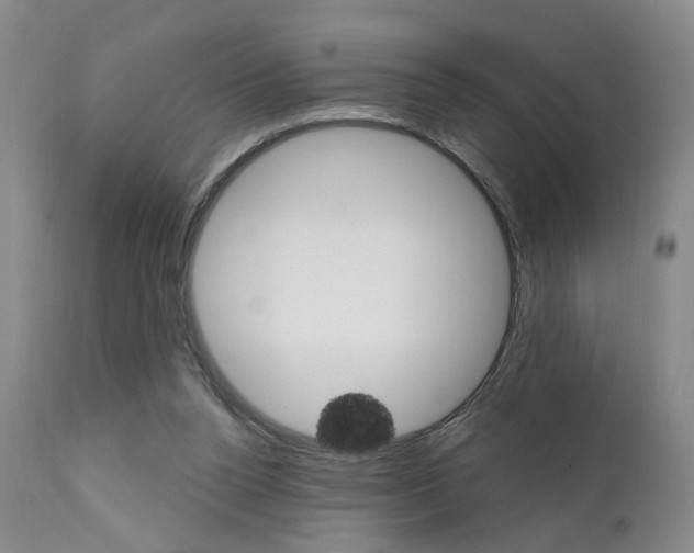 X0000111620160200907171113