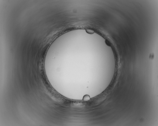 X0000111620161200907171113
