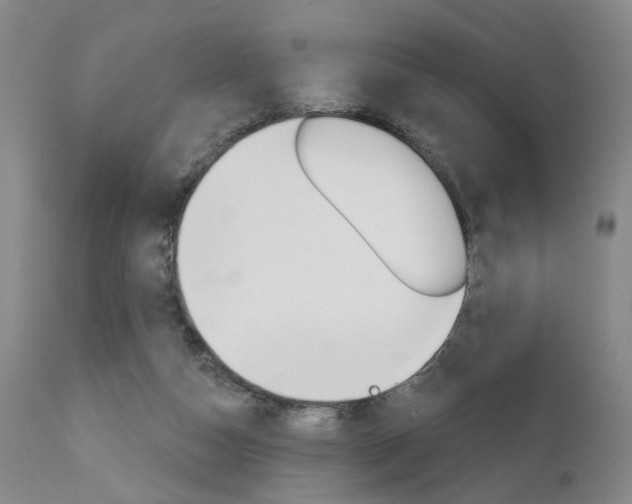 X0000111620162200907171113
