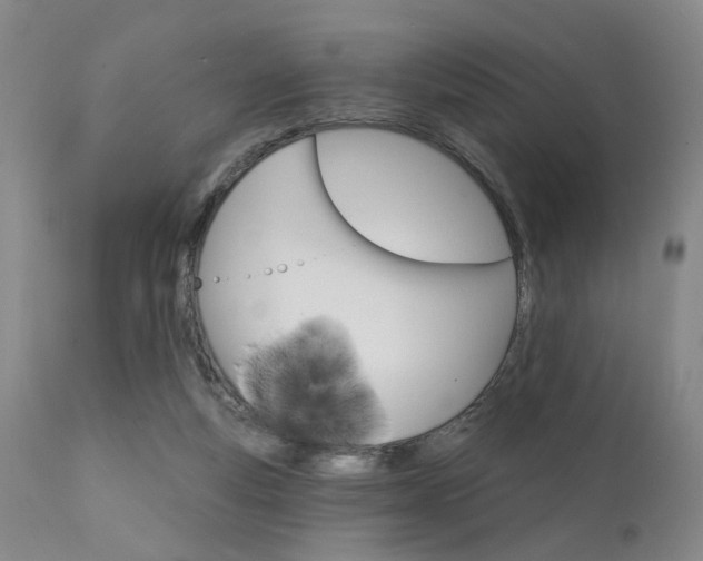 X0000111620163200907171113