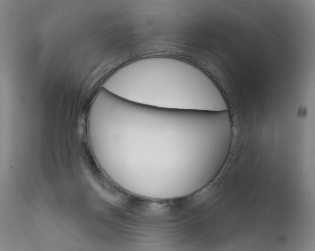 X0000111620166200907171113