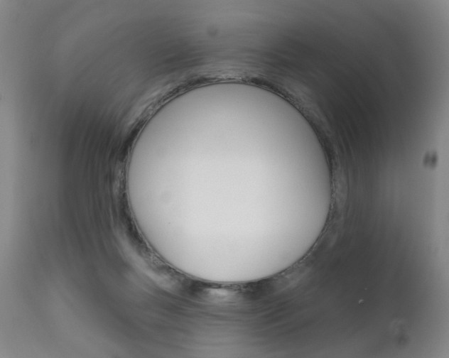 X0000111620167200907171113