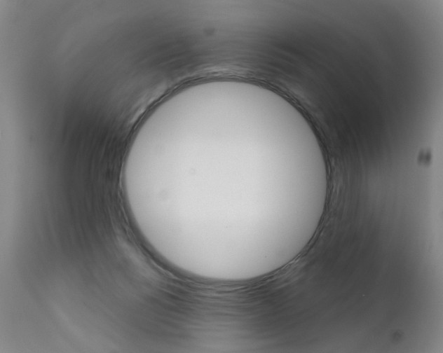 X0000111620168200907171113