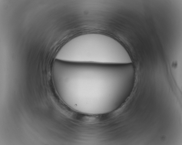 X0000111620170200907171113
