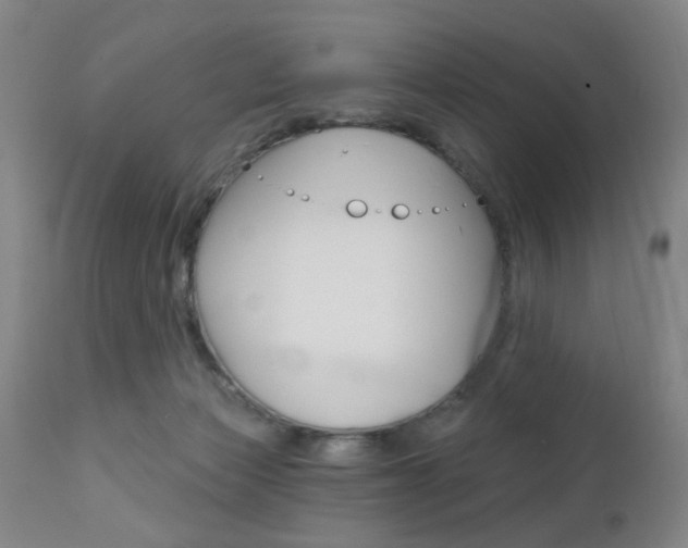 X0000111620173200907171113