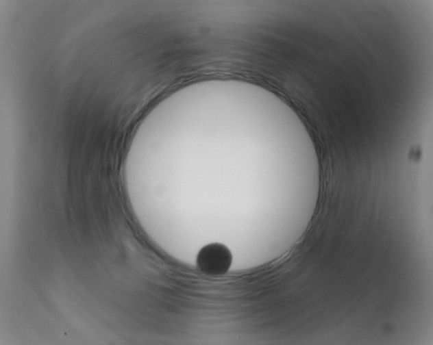 X0000111620176200907171113