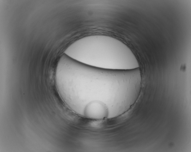 X0000111620178200907171113