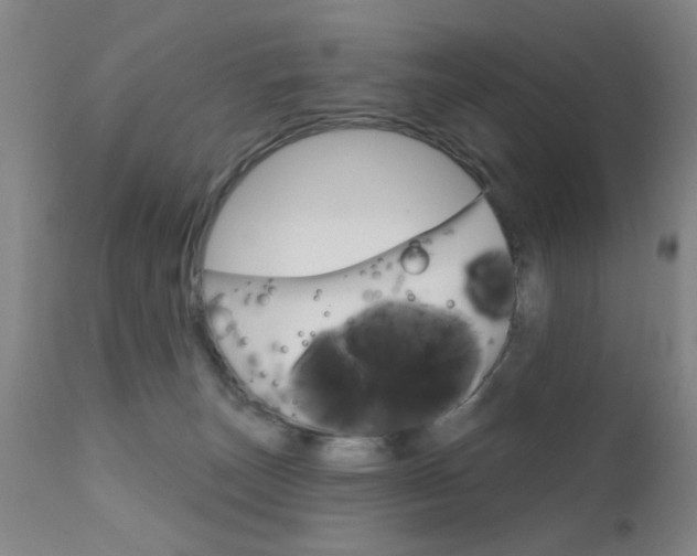 X0000111620179200907171113