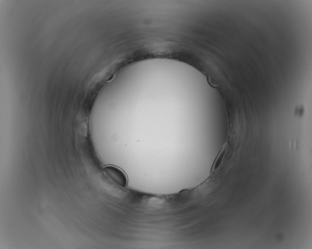 X0000111620180200907171113