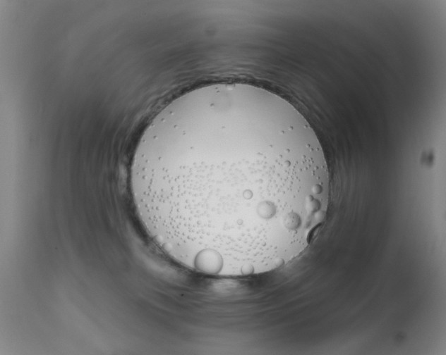 X0000111620183200907171113