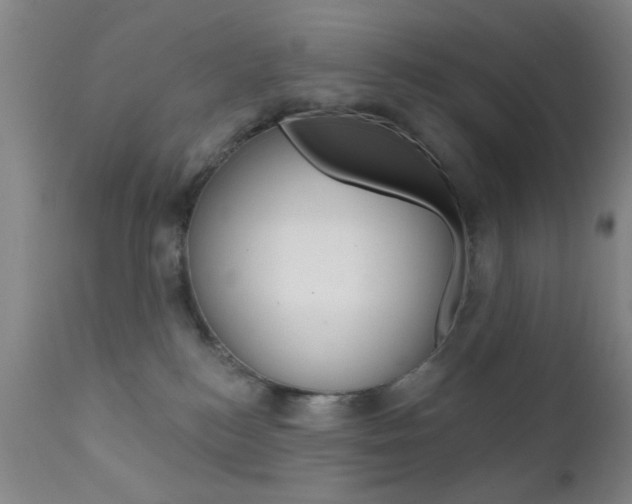 X0000111620184200907171113