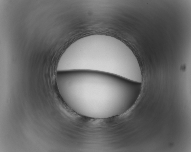 X0000111620186200907171113
