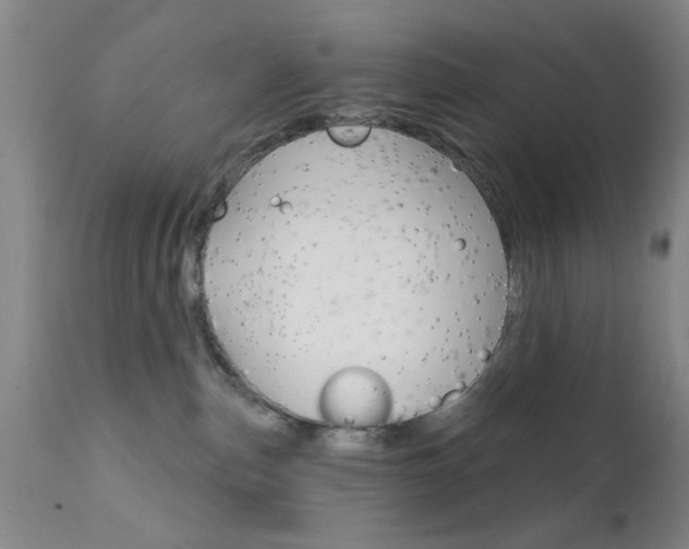 X0000111620187200907171113