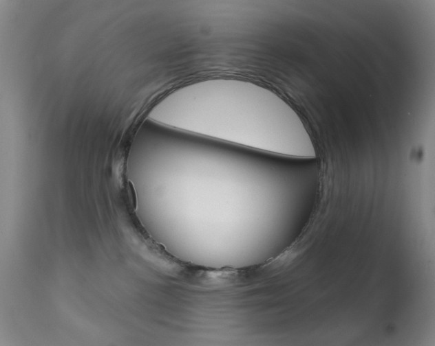 X0000111620188200907171113