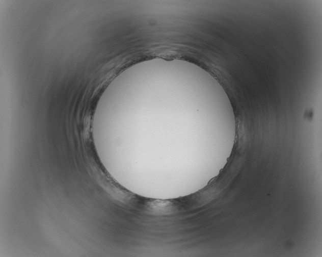 X0000111620189200907171113