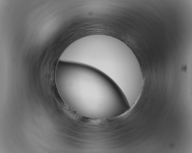 X0000111620190200907171113