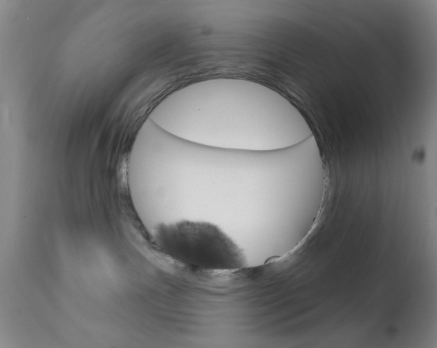 X0000111620191200907171113