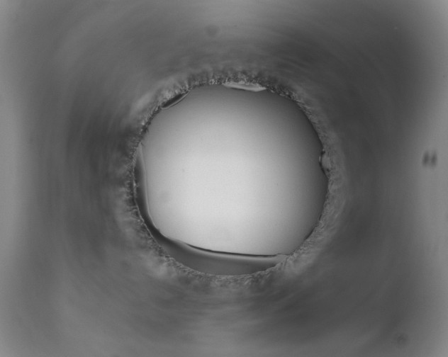X0000111620192200907171113
