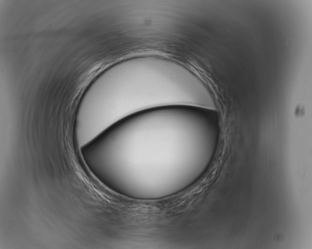 X0000111620193200907171113