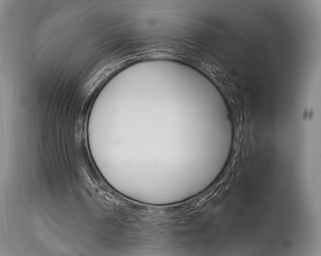 X0000111620194200907171113