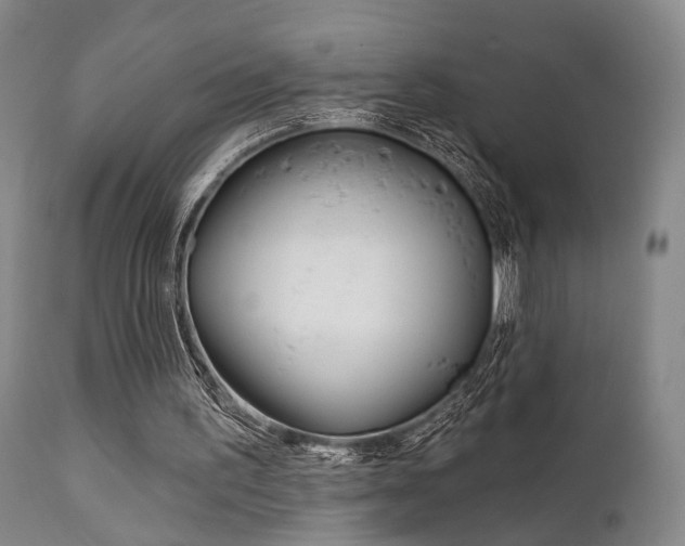 X0000111620195200907171113