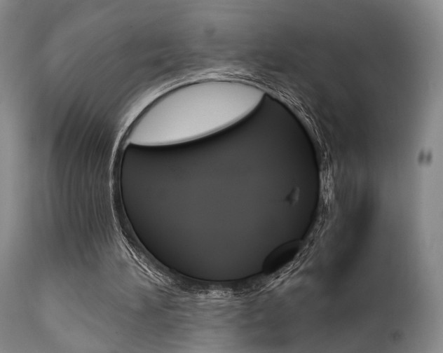 X0000111620196200907171113