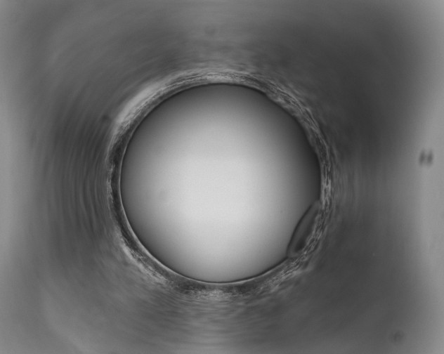 X0000111620197200907171113
