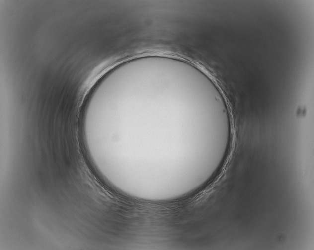 X0000111620199200907171113