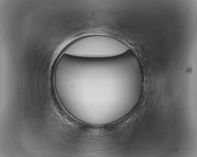 X0000111620200200907171113