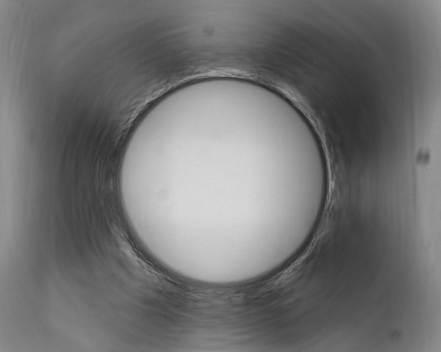 X0000111620201200907171113