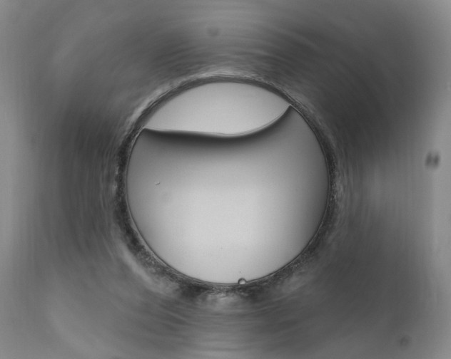 X0000111620208200907171112