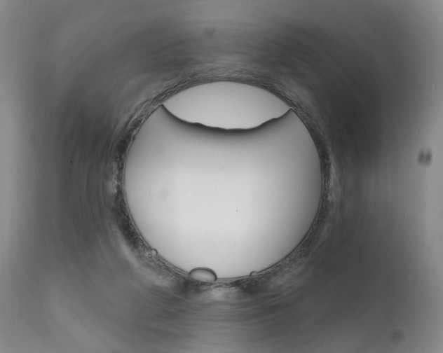 X0000111620210200907171112